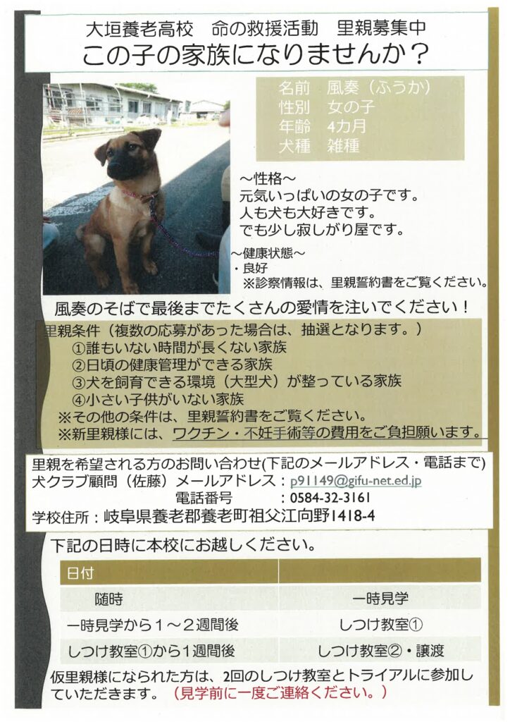 大垣養老高校 犬クラブ様 支援活動 | ペットフォレスト