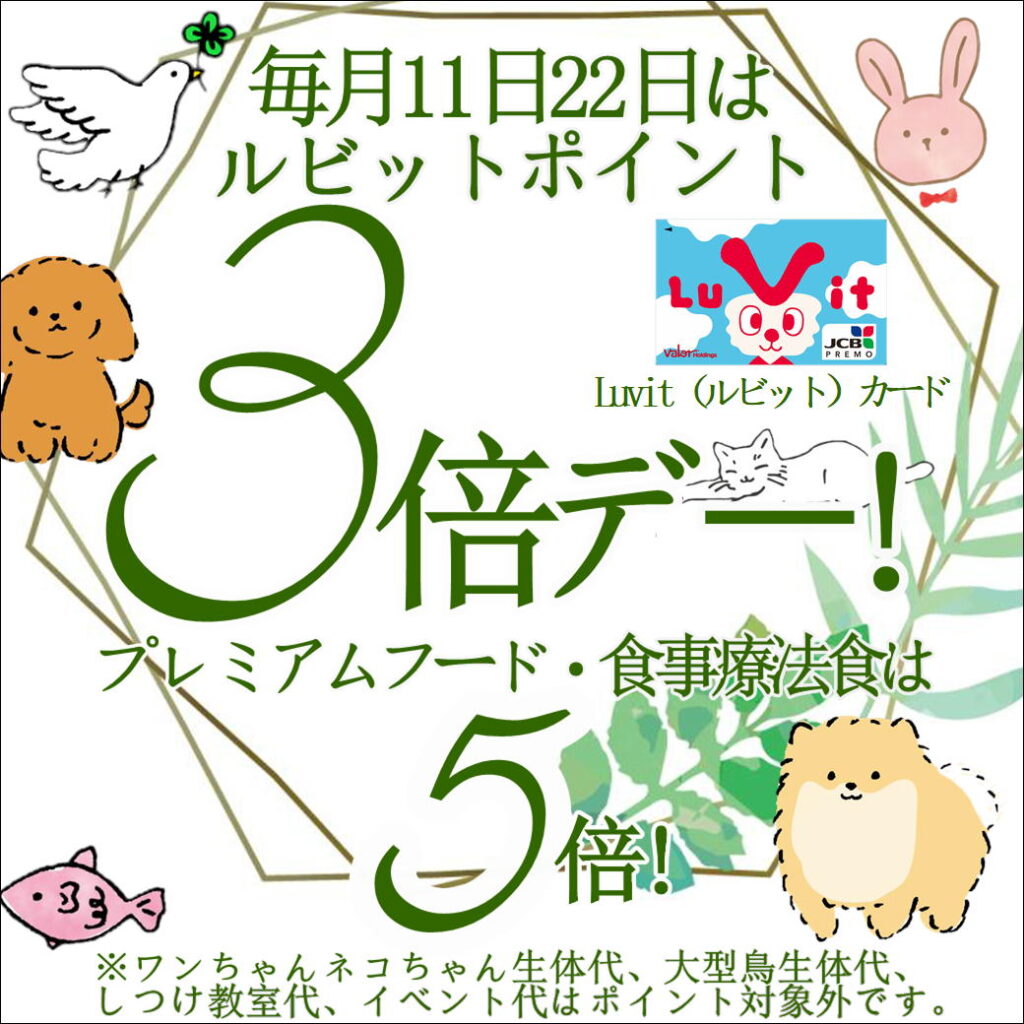 毎月11日22日】ポイント3倍デー！5倍商品も！！ | ペットフォレスト