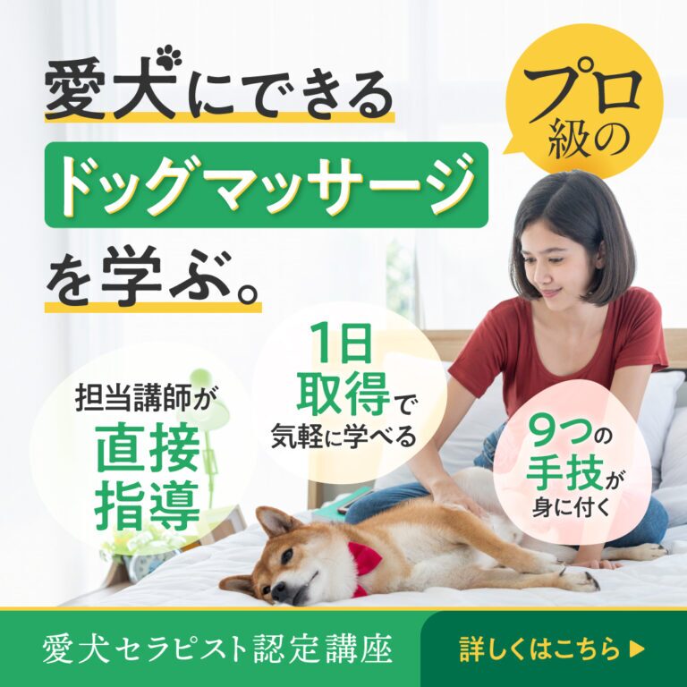 はじめてのドッグマッサージ講座 受講生募集中！ | ペットフォレスト