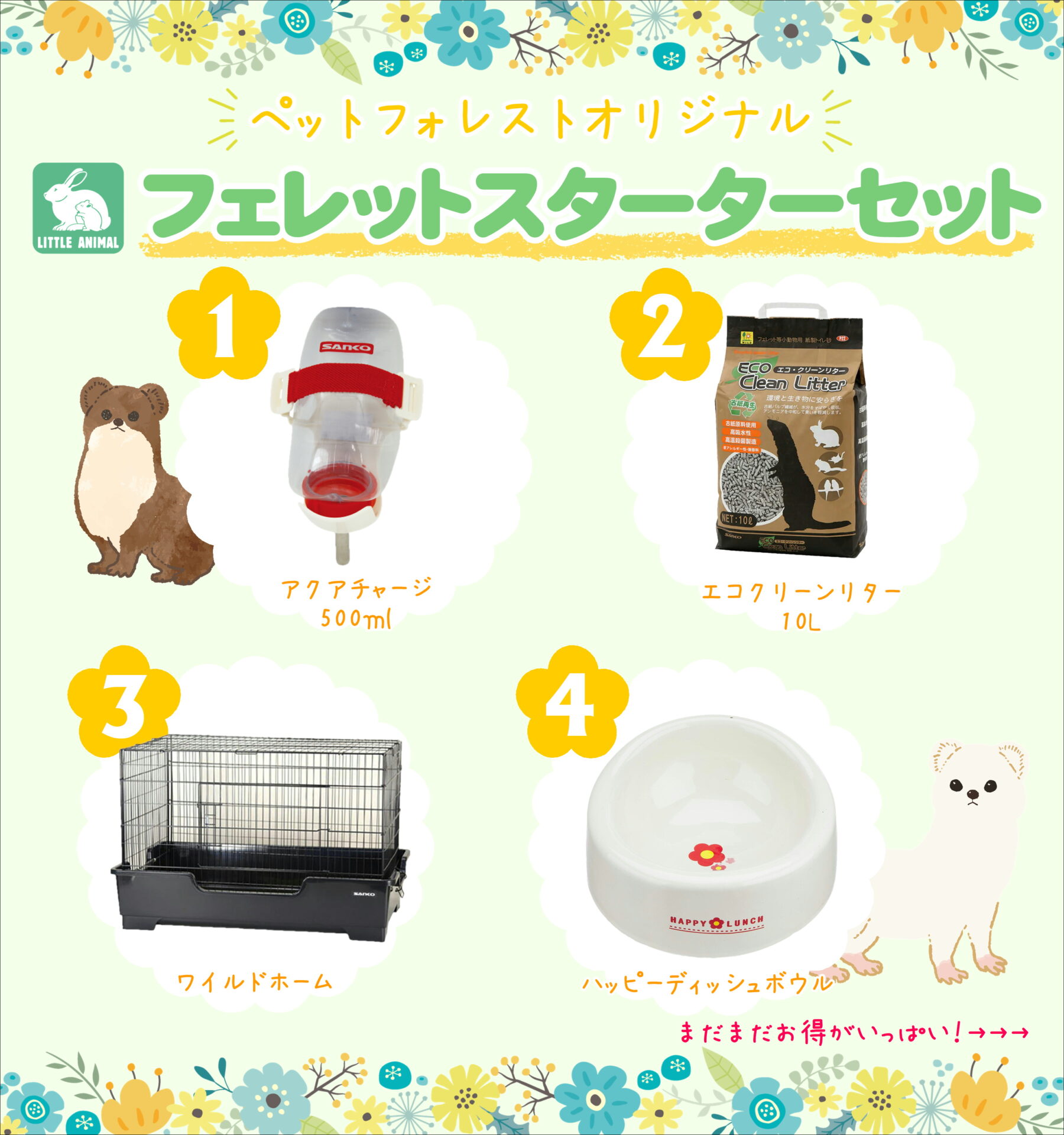 フェレット スターターセット | ペットフォレスト