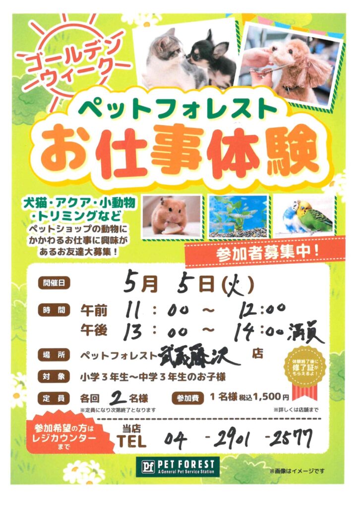 ベッド(急募)引っ越しの為大至急 2026GWイベントのお知らせ | ペットフォレスト