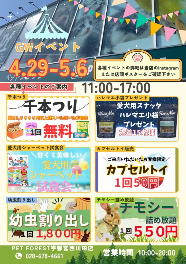 ベッド(急募)引っ越しの為大至急 2026GWイベントのお知らせ | ペットフォレスト