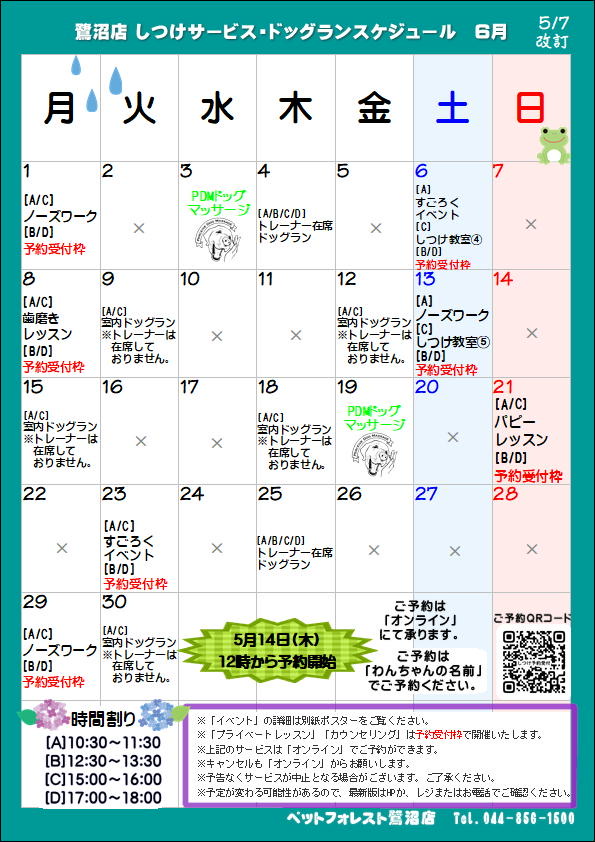 2026年6月】しつけサービス&ドッグランスケジュール⭐︎ | ペット