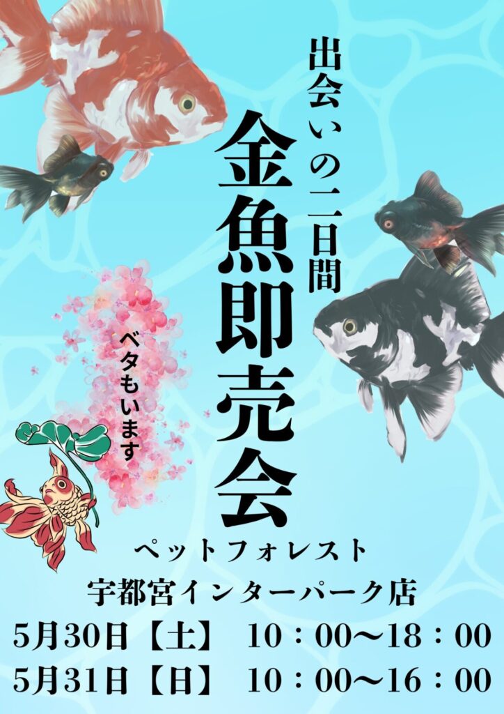 金魚 様 リクエストページ 金魚即売会のお知らせ | ペットフォレスト