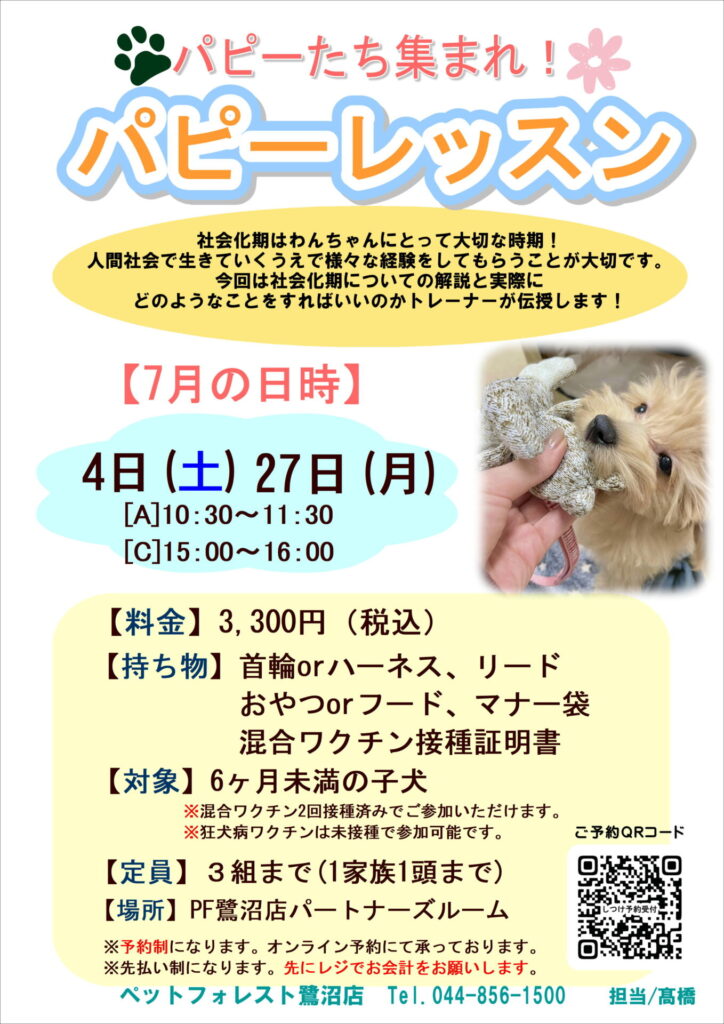 2026年7月】しつけサービス&ドッグランスケジュール☆ | ペットフォレスト