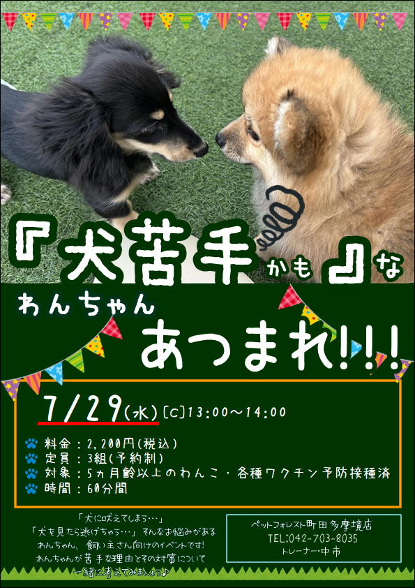 わんこペット 2026年7月29日(水)】☆『犬苦手かも…』なわんちゃん集まれ！イベント