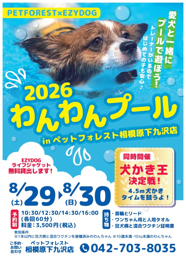 かませ犬　確認ページ 2026年8月29日(土)～30日(日)】『みんなと一緒に！わんわんプール