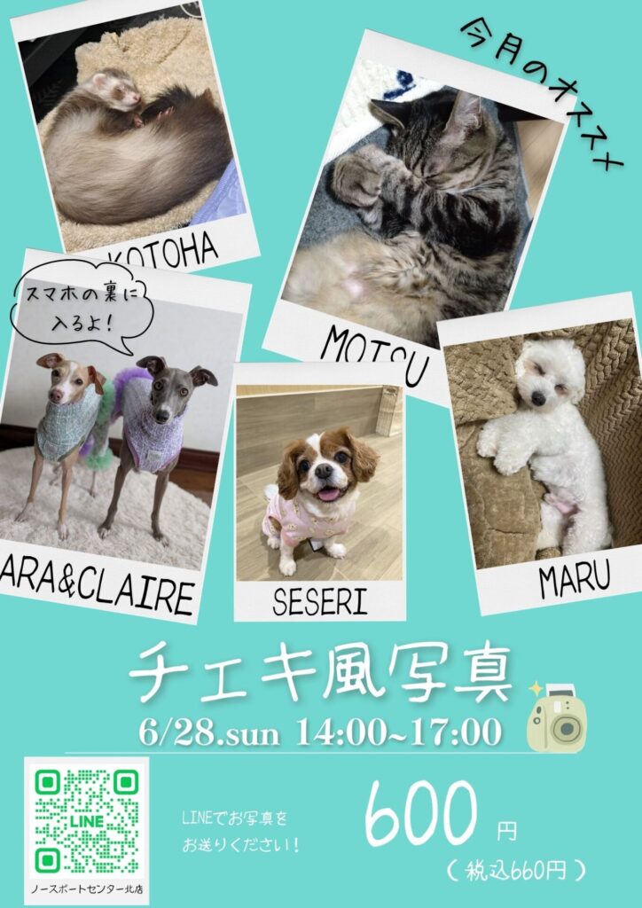 ☆チェキ風写真作成会開催決定☆ | ペットフォレスト