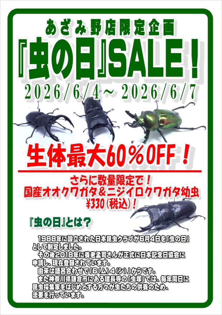 カブト・クワガタ】「虫の日」SALE開催！ | ペットフォレスト