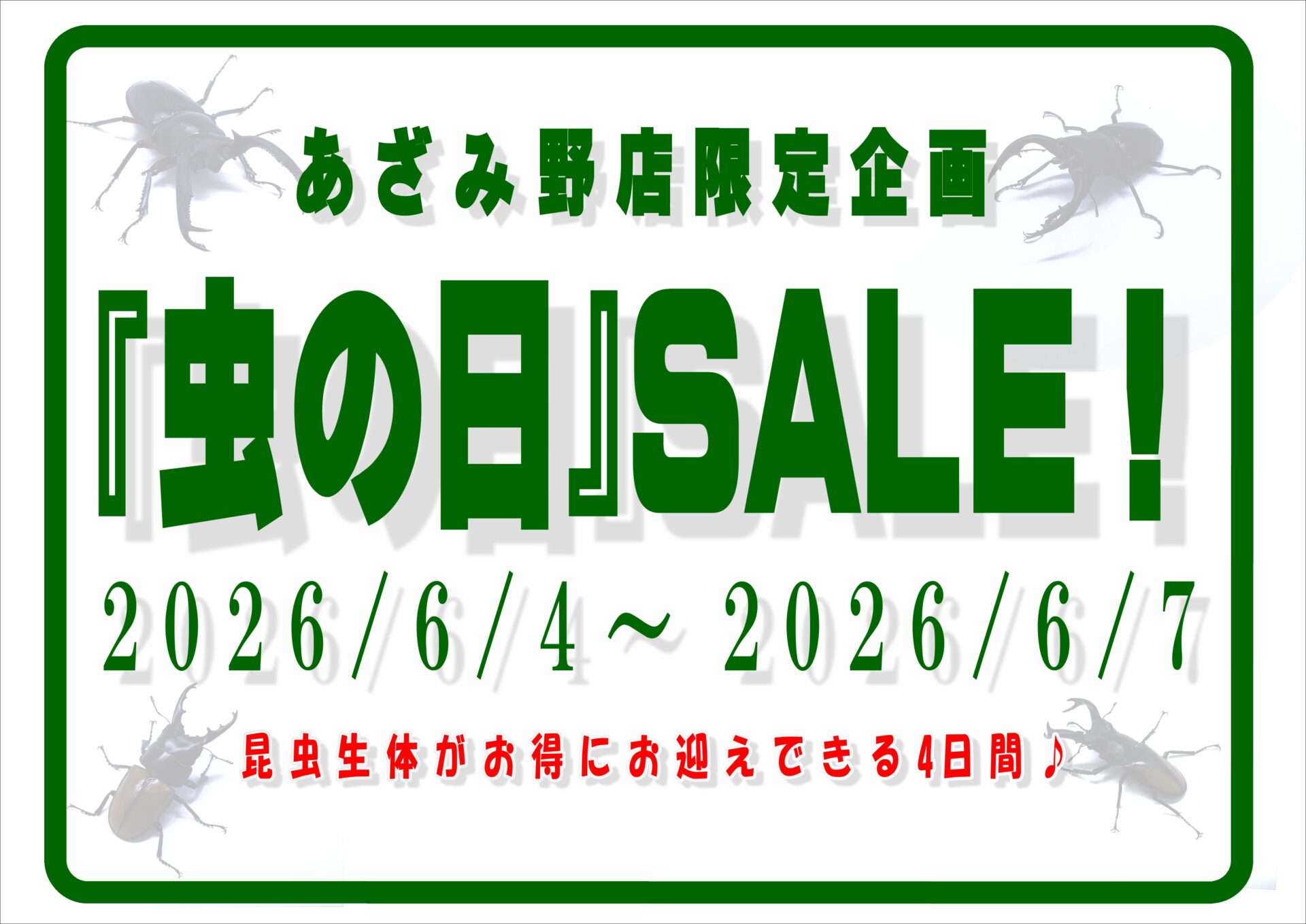 カブト・クワガタ】「虫の日」SALE開催！ | ペットフォレスト