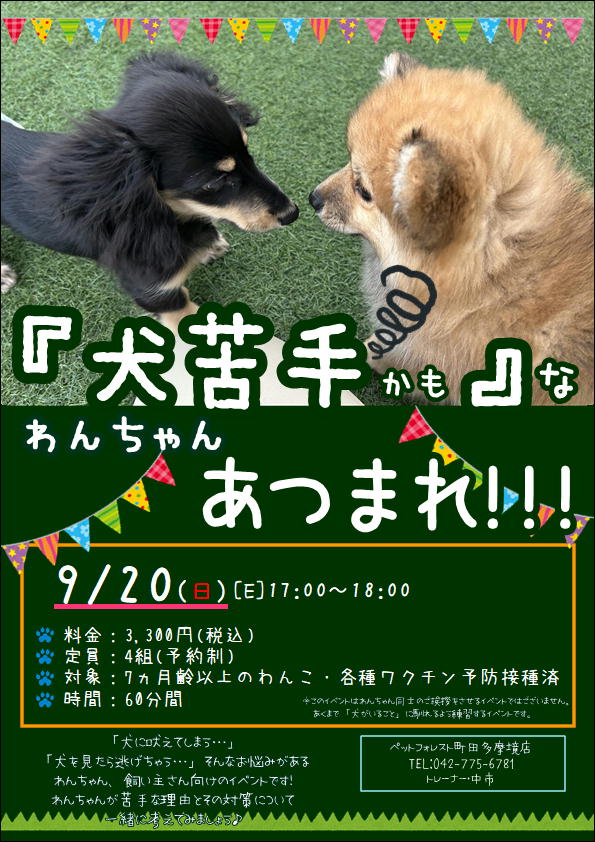 2026年9月20日(日)】『犬苦手かも…』なわんちゃん集まれ！ | ペット
